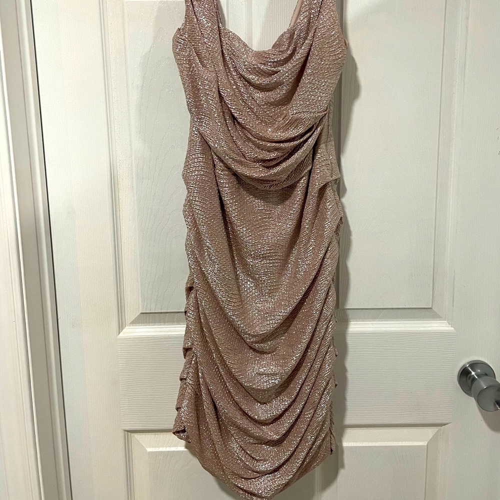 Express mid length pink champagne Dress